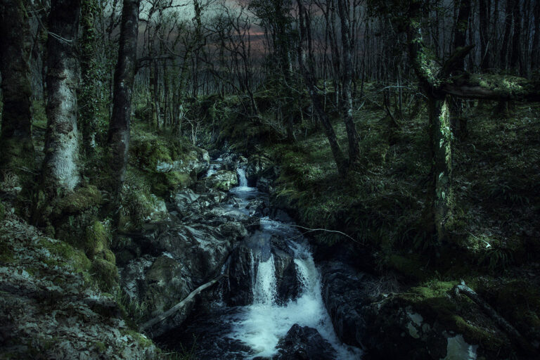scottish atlantic celtic rain forest scottish atlantic celtic rain forest