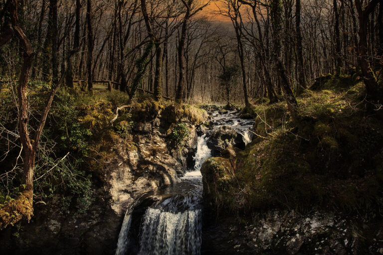 scottish landscape rainforest scottish landscape rainforest