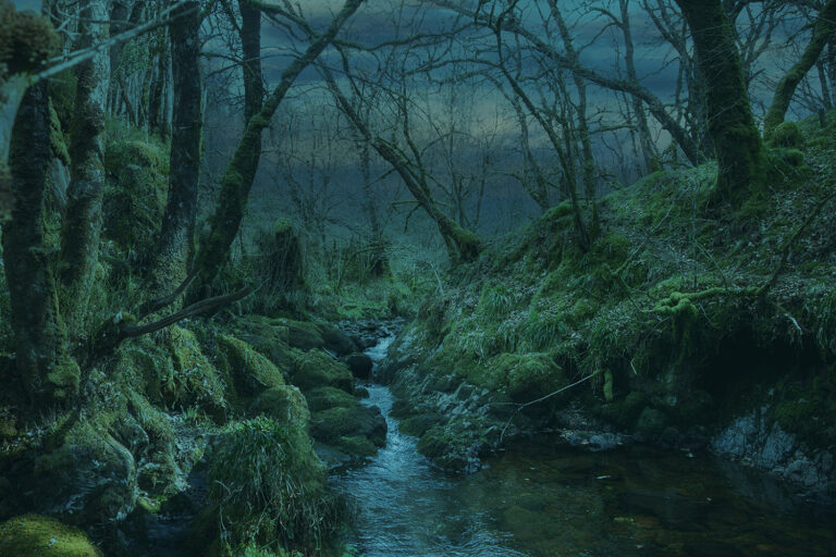 The Burn, Glen Nant - dark celtic atlantic rainforest uk scotland dark celtic atlantic rainforest uk scotland