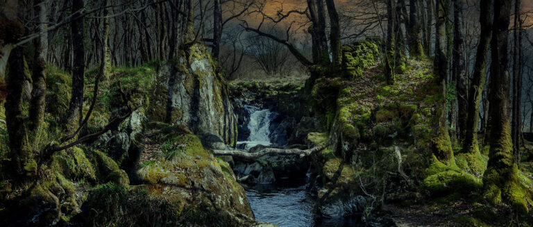 Kenneth MacAlpin's Throne scottish rainforest landscape photography scottish rainforest landscape photography