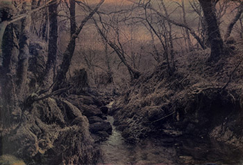 Gum Bichromate Printing