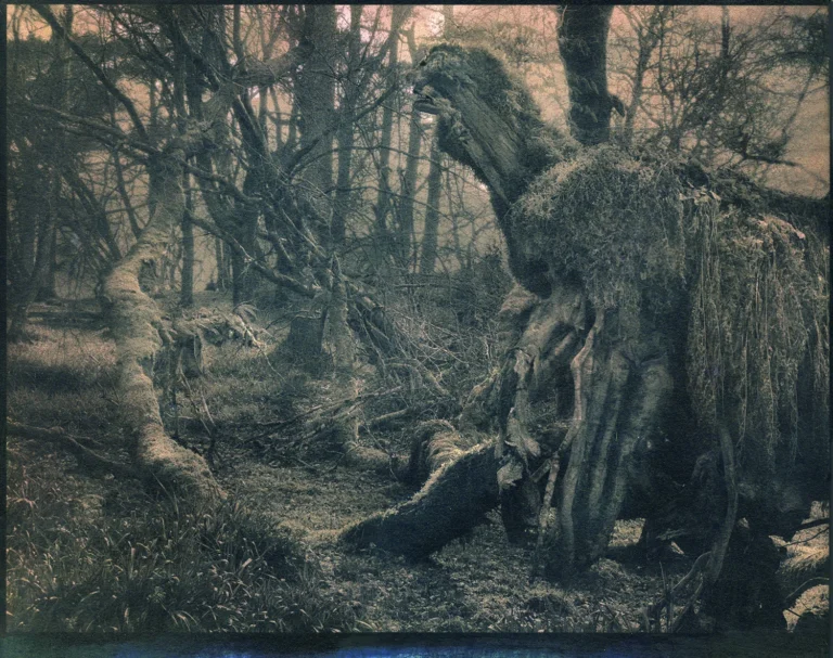Gum Bichromate print, The Keeper of Barra Mòr 2 scottish woodland Gum Bichromate print of: The Keeper of Barra Mòr 2 scottish woodland
