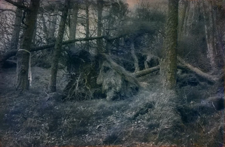 witches promise -web