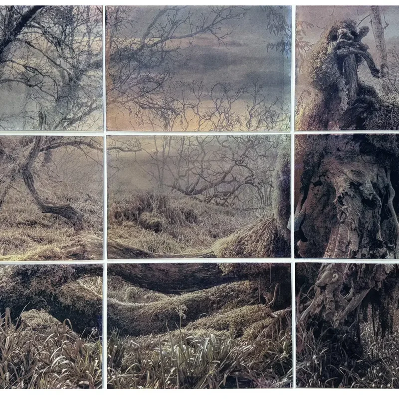 Celtic-atlantic-Rainforest-gum-print-alt-process gum bichromate print of celtic atlantic rainforest in scotland