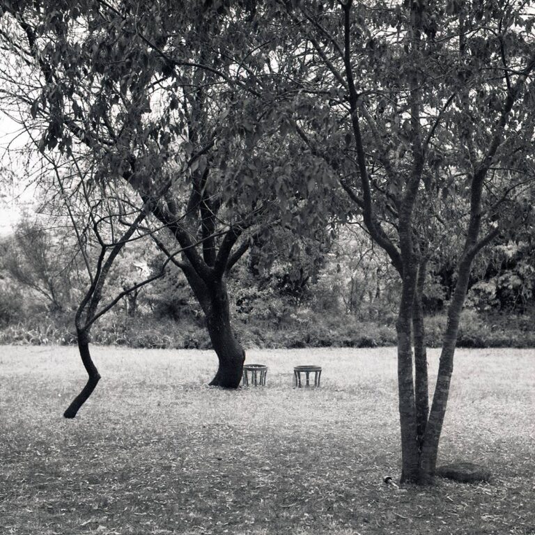 analogue film photography9