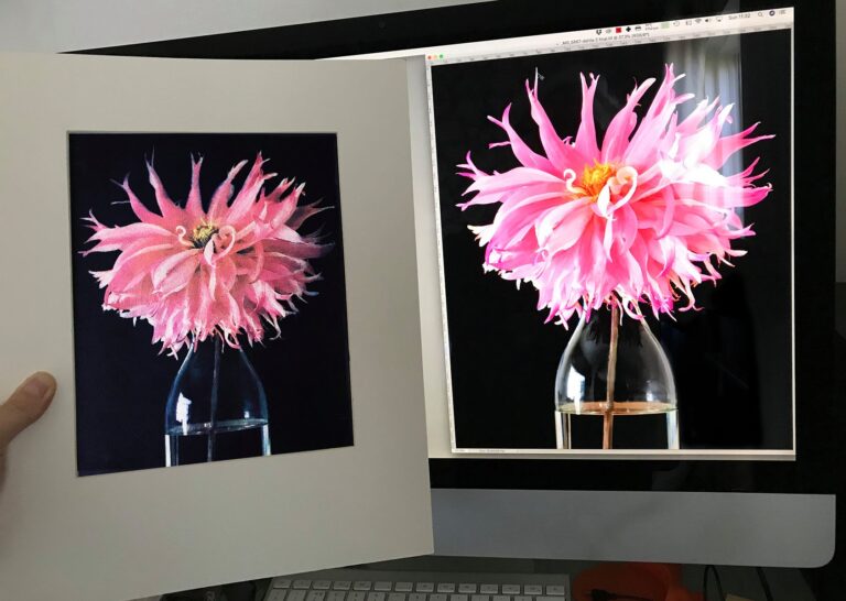 Gum Printing Artist UK — Ian Phillips-McLaren  -tri colour gum print held next to the digital version on screen gum printing artist uk Gum Printing Artist UK — Ian Phillips-McLaren - tri colour gum print held next to the digital version on screen