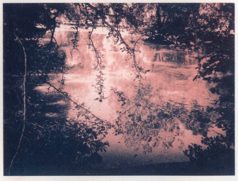 duotone gum print made from an iphone 5 duotone gum print made from an iphone 5