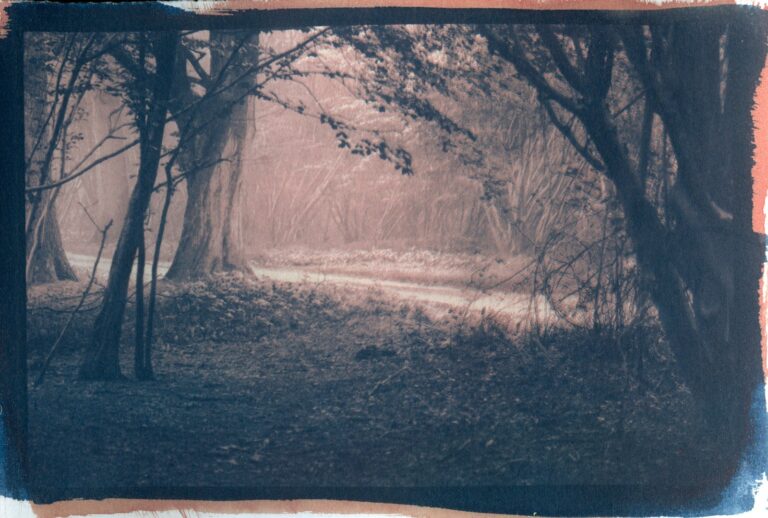 gum bichromate print gum duotone print gum bichromate print
