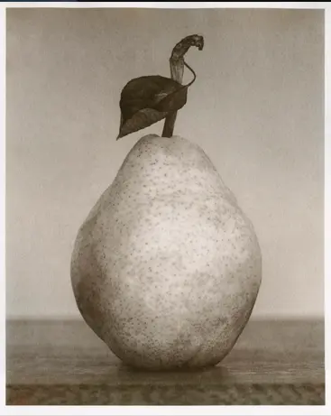 Salt Printing Workshop