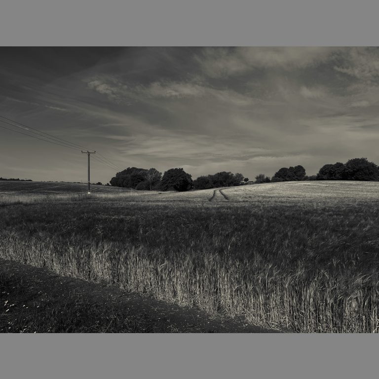river chelmer art project