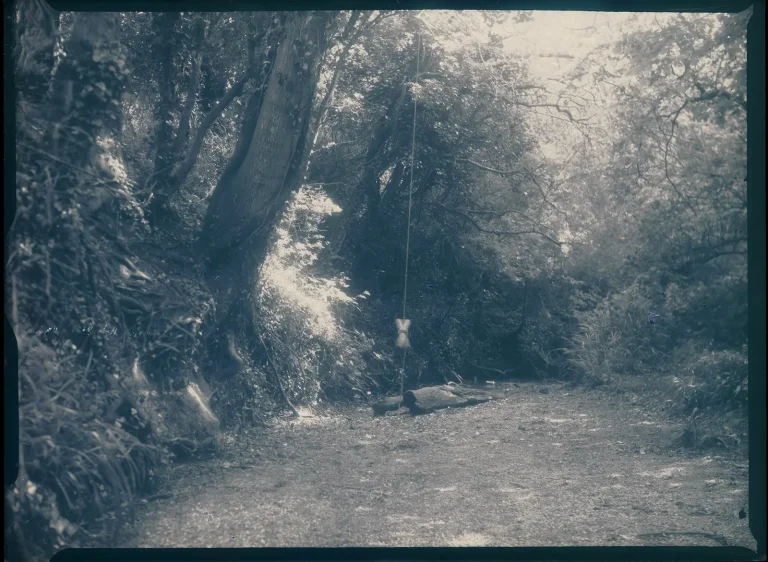 Paper Negative of the Dried up River Chelmer Swing, near the dry source – paper negative, Voigtländer camera THE RIVER CHELMER