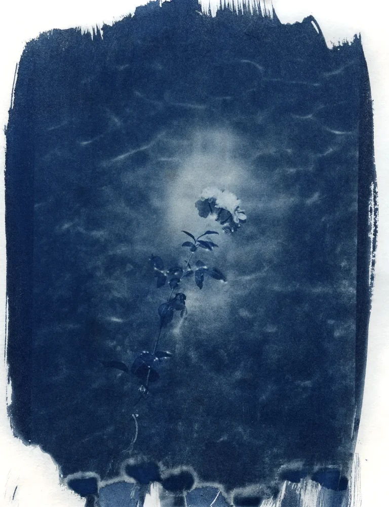 img20250815_15053377 copy