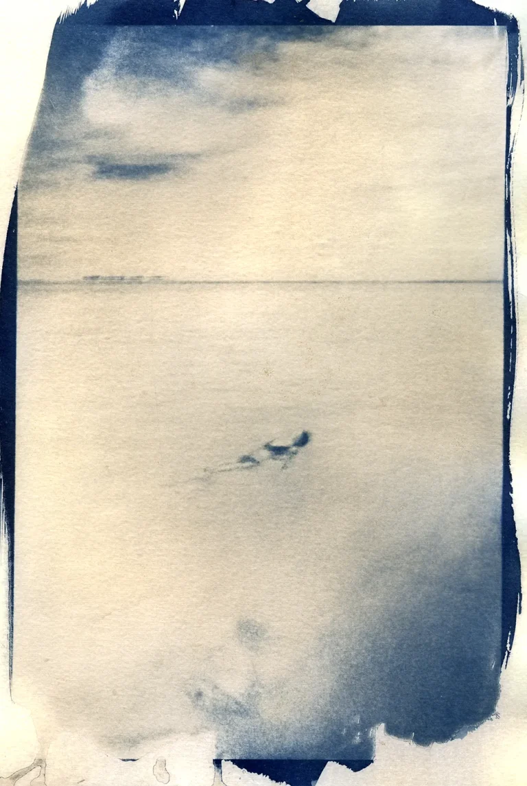 img20250815_15061185 copy toned cyanotype course