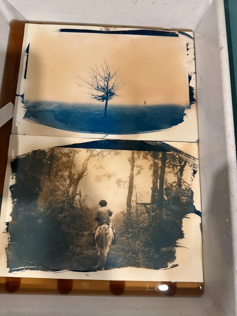 Tiffany Roubert Photographer at an Ian Phillips-McLaren cyanotype workshop Tiffany Roubert Photographer at an Ian Phillips-McLaren cyanotype workshop