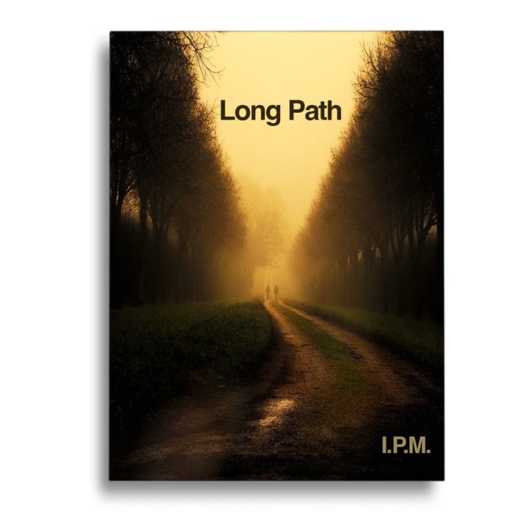 Paperback-book-cover-visualisation-with-atmospheric-photographic-image-1 book-cover-mockup-fine-art-photography book cover artwork