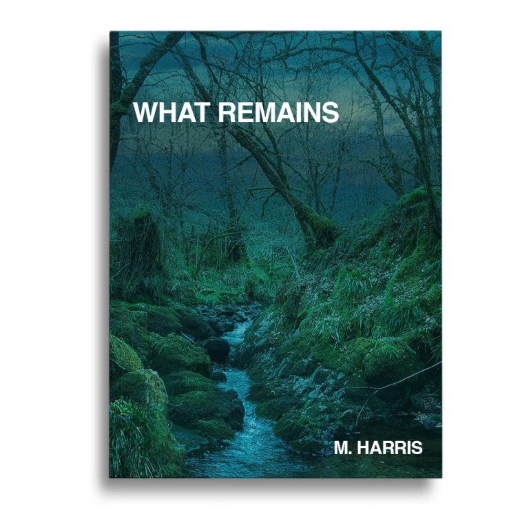 book-cover-mockup-fine-art-photography book cover photography sleave images