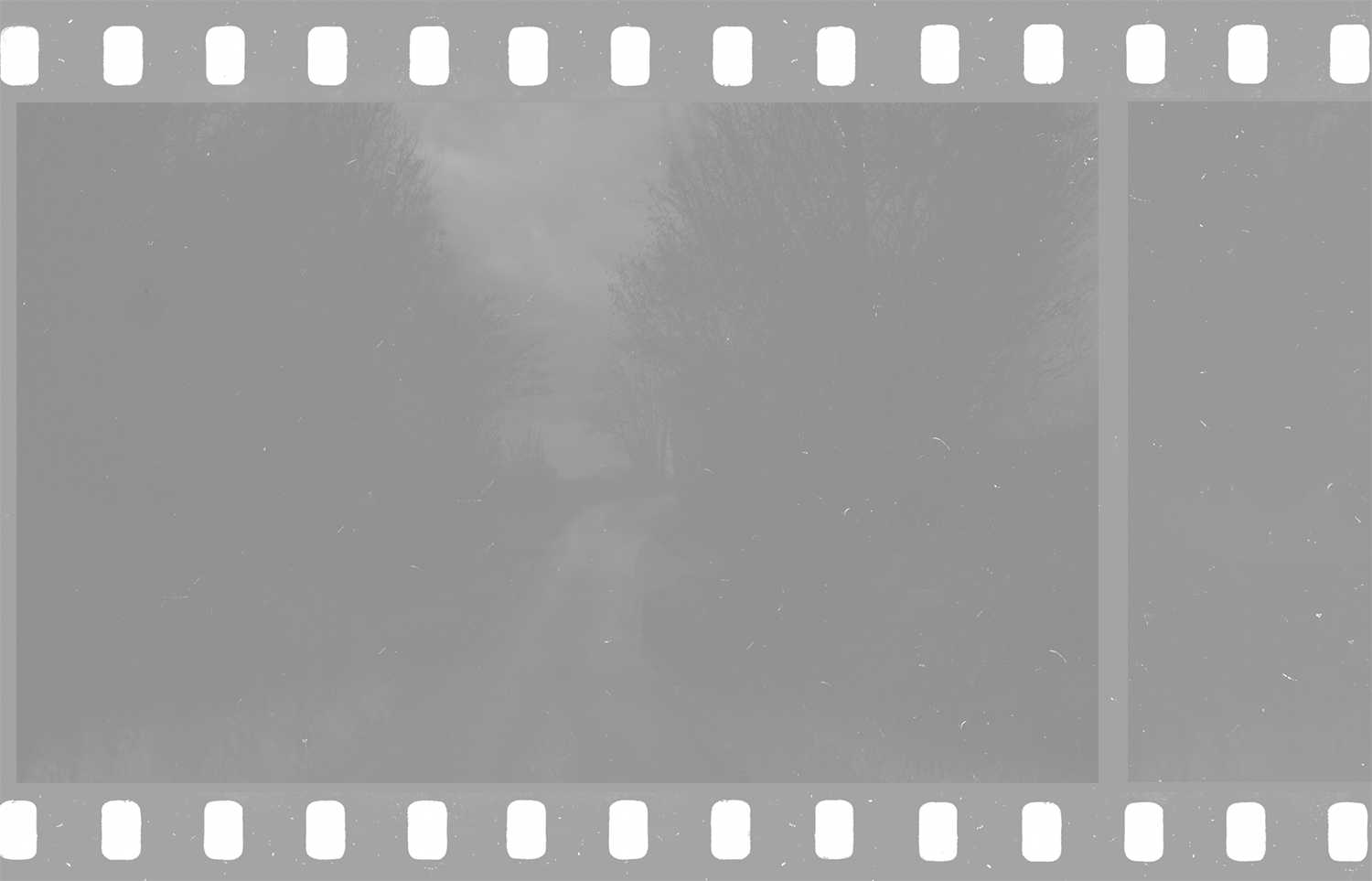 Airport X-Rays and Film: Why Your Negatives Get Fogged (and How to Avoid It)