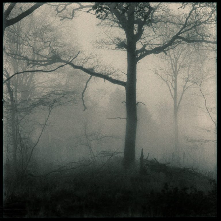 Film Photography Workshops London Hackney