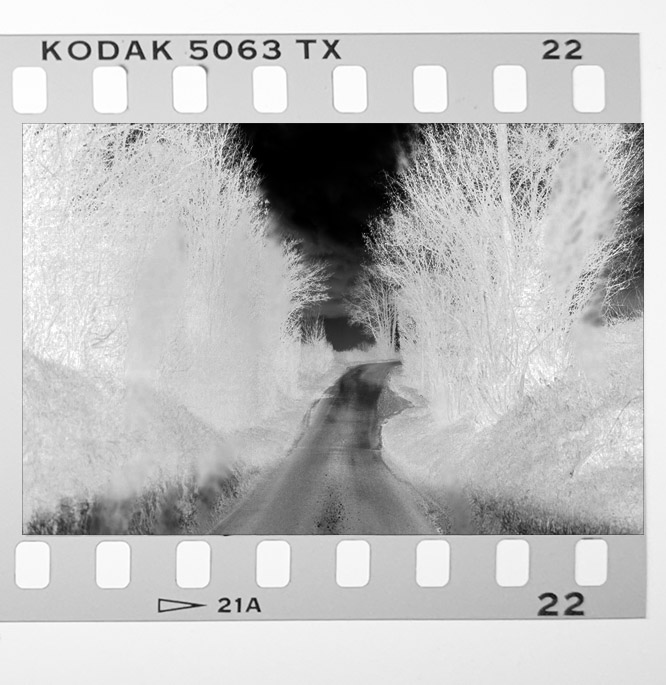 b&w negative film properly exposed