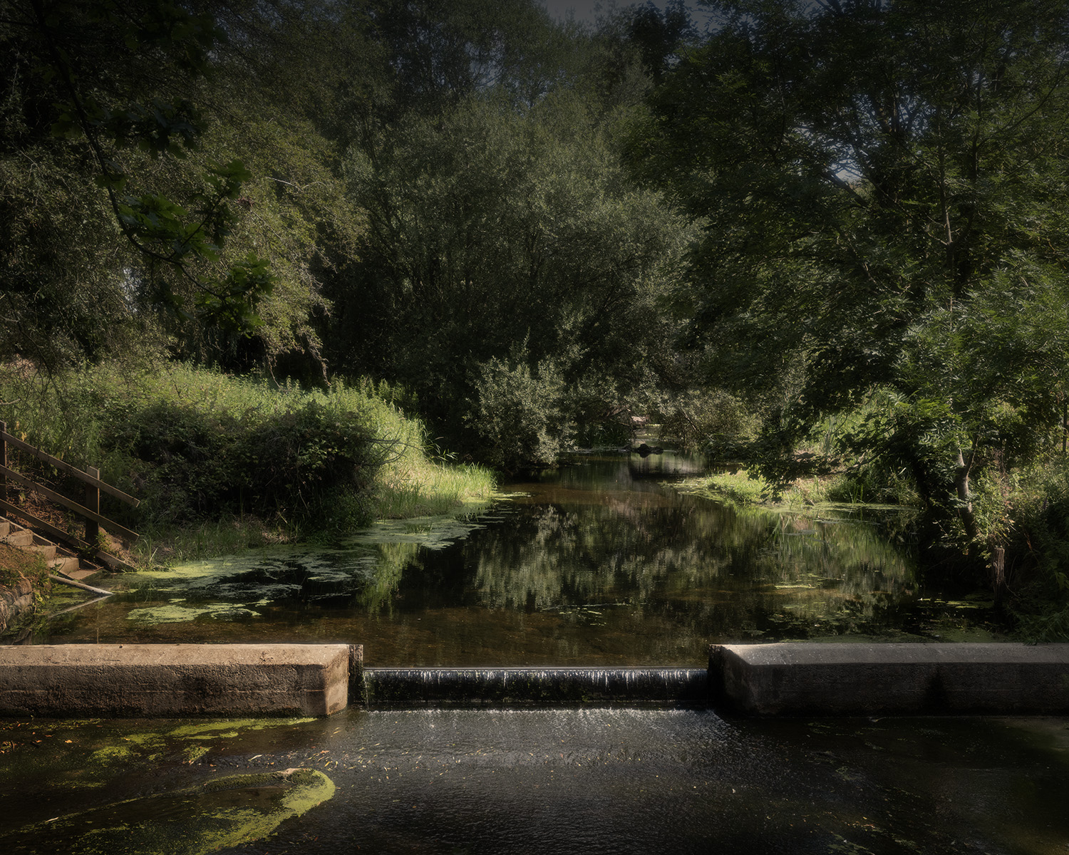 _DSF1542 web