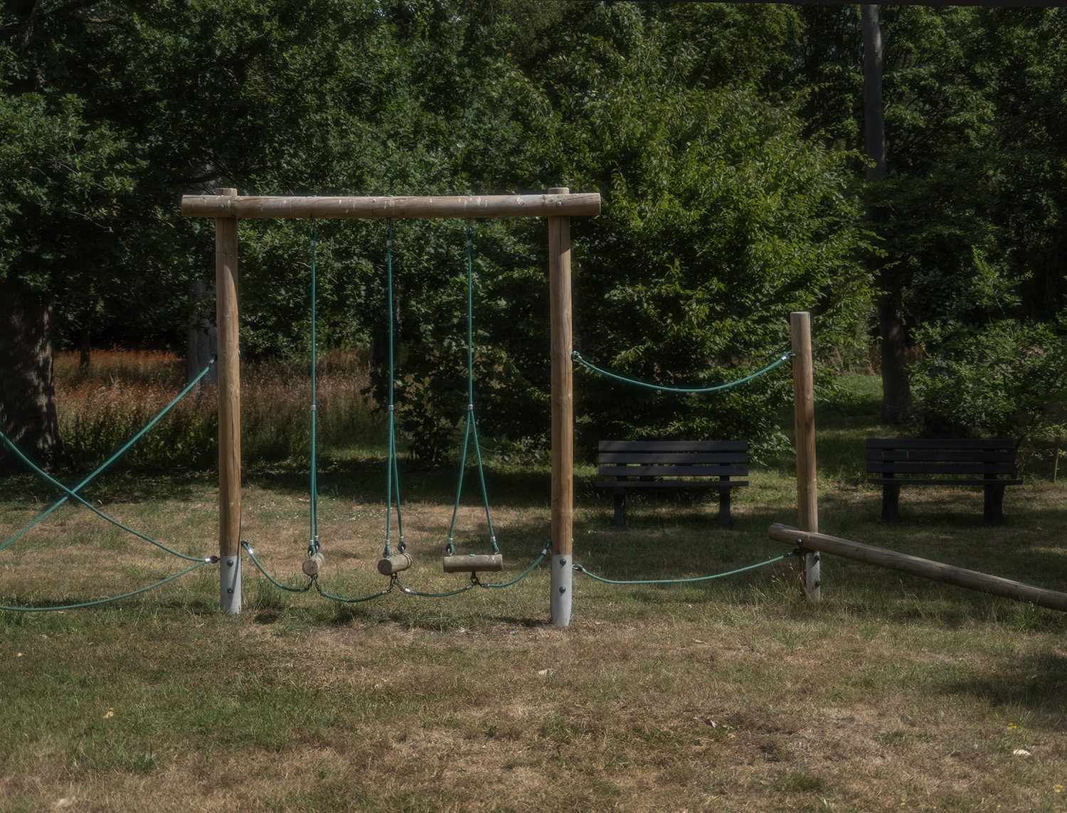 _DSF1544 web
