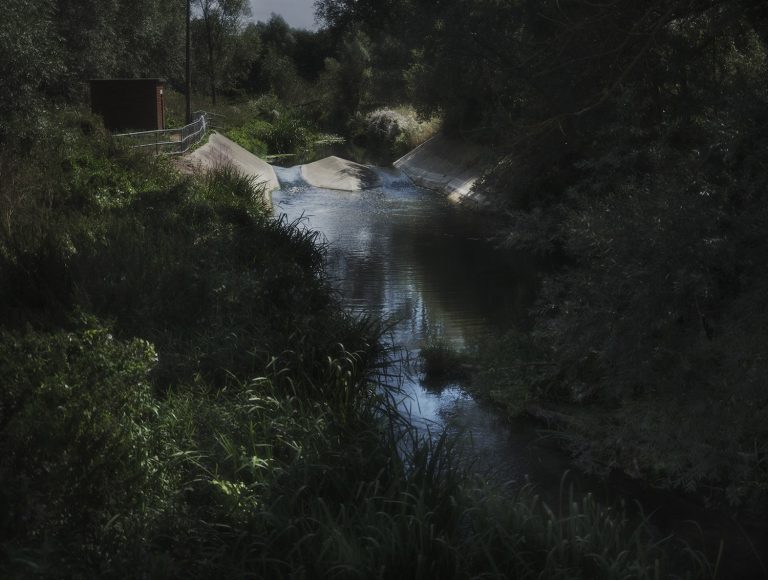 the river chelmer project by ian phillips-mclaren